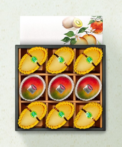 [품격있는] 항공직송 망고 혼합선물세트 3.1kg(9과)